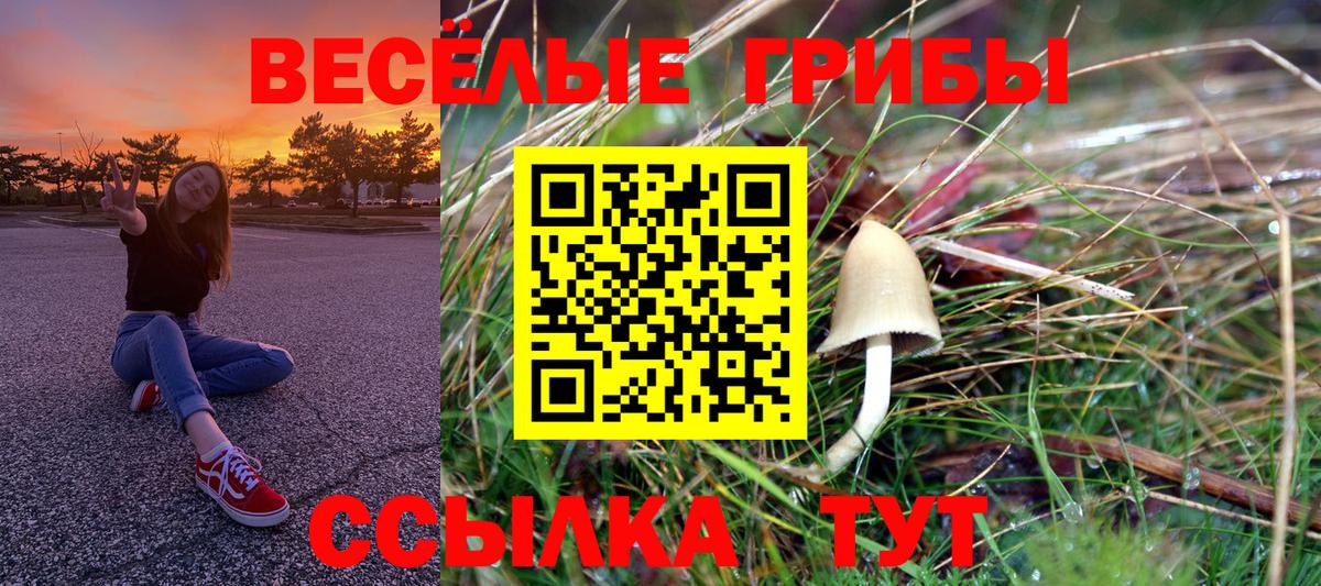 Топки  Псилоцибиновые грибы прущие грибы  Вход с VPN  Галлюциногенные грибы GOLDEN TEACHER 